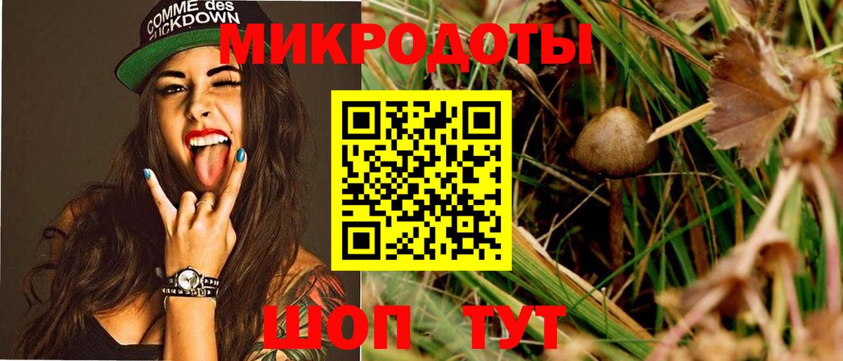 Галлюциногенные грибы Psilocybine cubensis  Вход с VPN  Галлюциногенные грибы ЛСД  Миасс 