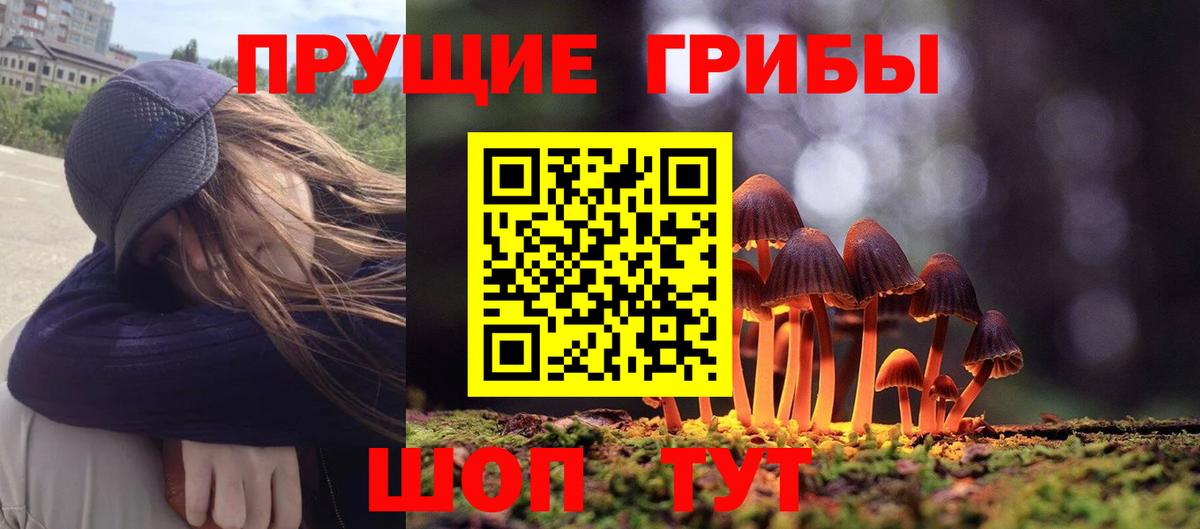 Галлюциногенные грибы мицелий Миасс